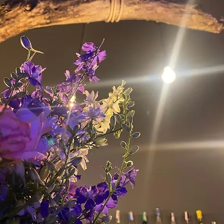 منتزه العطل Sirena