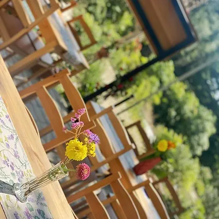 منتزه العطل Sirena كامشيا