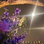 홀리데이파크 Sirena