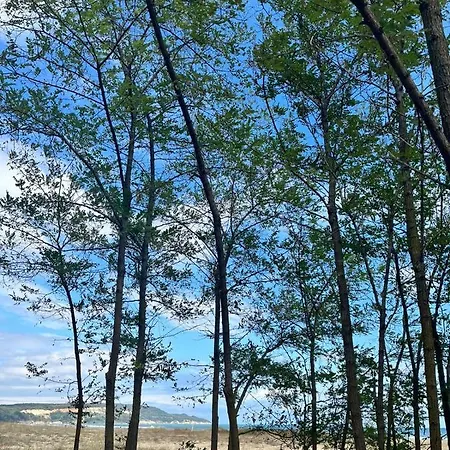 Sirena Üdülőpark Kamcsija