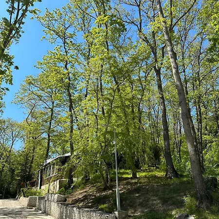 Sirena Holiday park *
