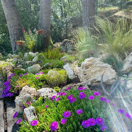 Sirena Parc de vacanță Kamchia (Varna)