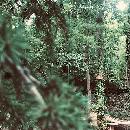 Sirena Holiday park Kamchia (Varna)